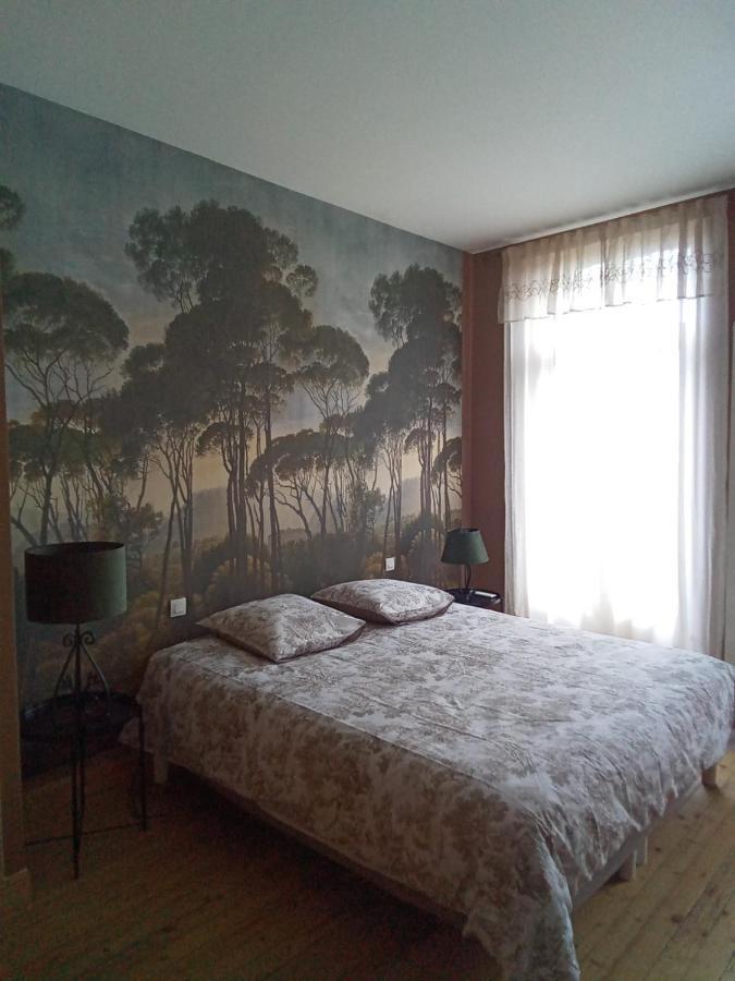 Chambres D'Hotes Les Trois Rames 卡尔卡松 外观 照片
